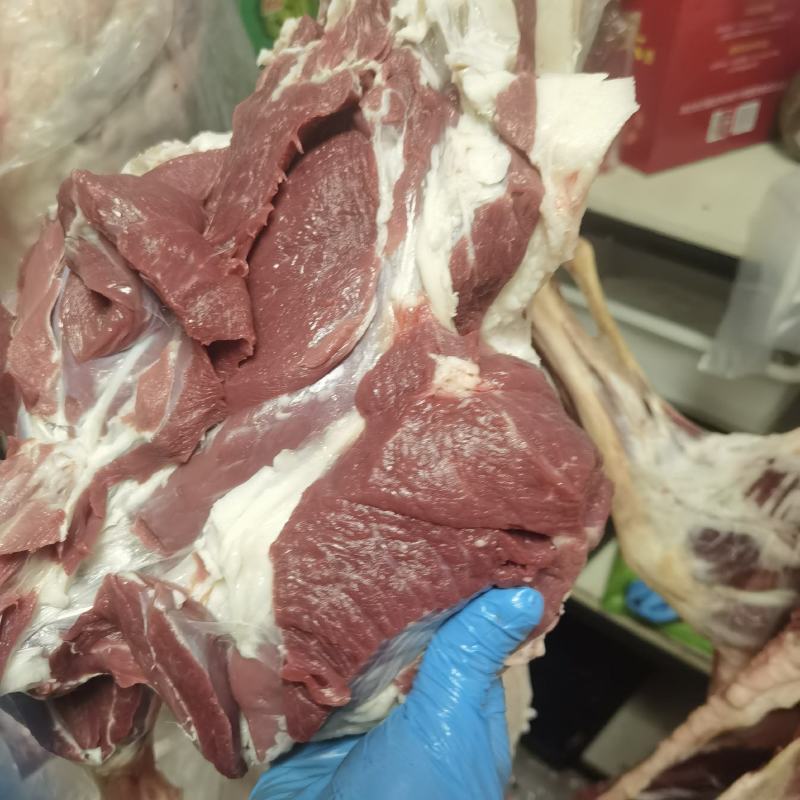 内蒙古羊肉，新鲜上市，现杀现卖，牧区放养，产地直发，欢迎咨询