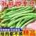 湖北豆角长阳高山四季豆产地直发货源充足欢迎来电咨询订购