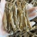 正宗沙虫干原色灰沙虫煲汤煮粥海鲜干货批发