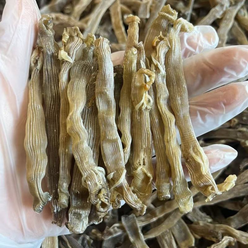 正宗沙虫干原色灰沙虫煲汤煮粥海鲜干货批发