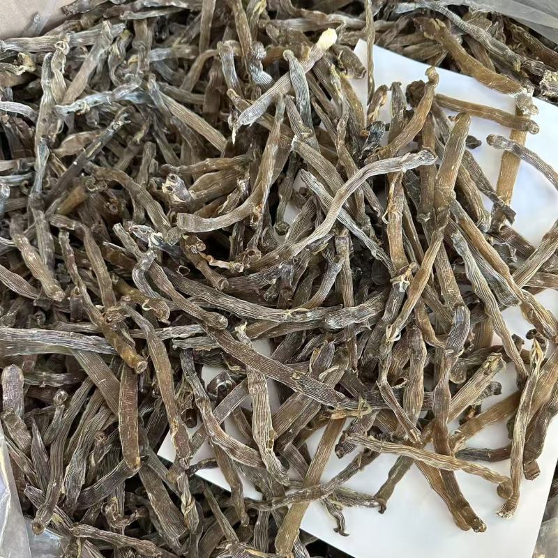 正宗沙虫干原色灰沙虫煲汤煮粥海鲜干货批发