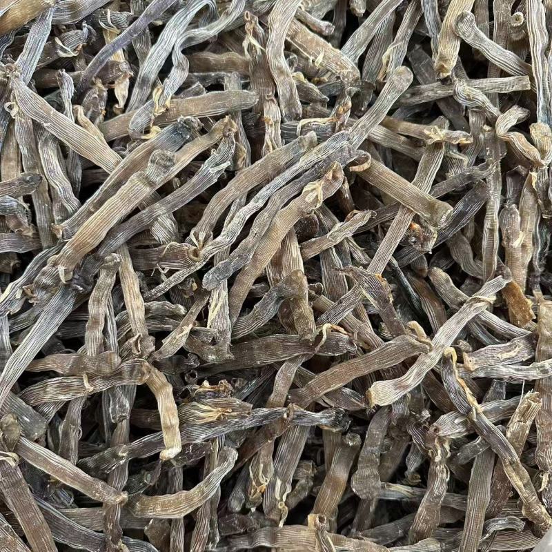 正宗沙虫干原色灰沙虫煲汤煮粥海鲜干货批发