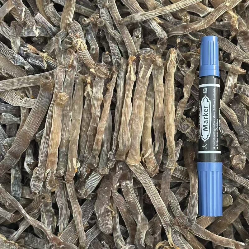 正宗沙虫干原色灰沙虫煲汤煮粥海鲜干货批发