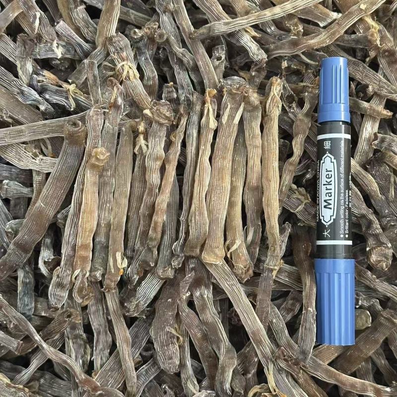 正宗沙虫干原色灰沙虫煲汤煮粥海鲜干货批发