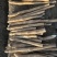 河南郸城精品空沟九斤黄山药不粘土货源充足