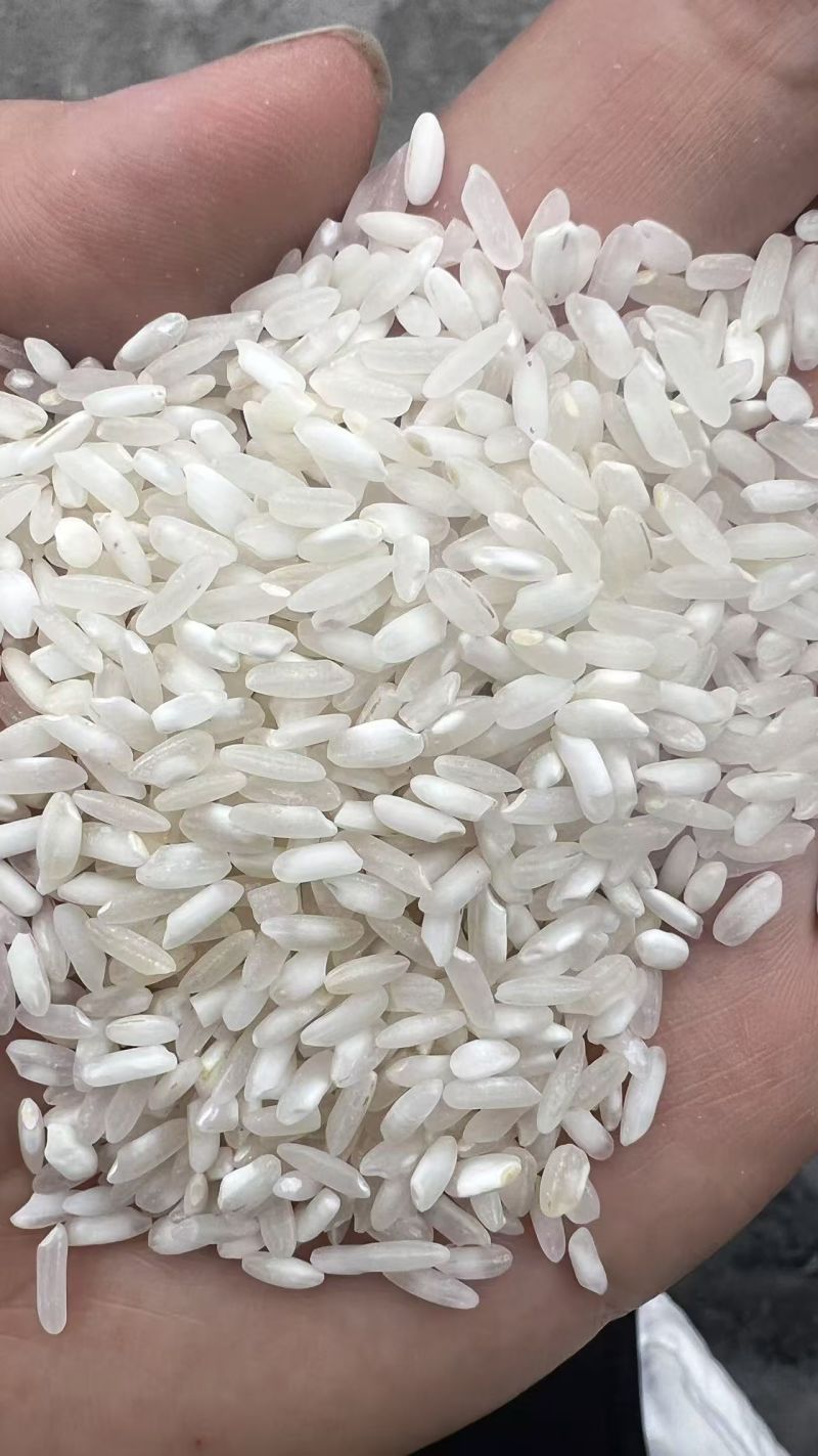 陈杂交碎用途:豆丝米粉米皮锅巴米泡等