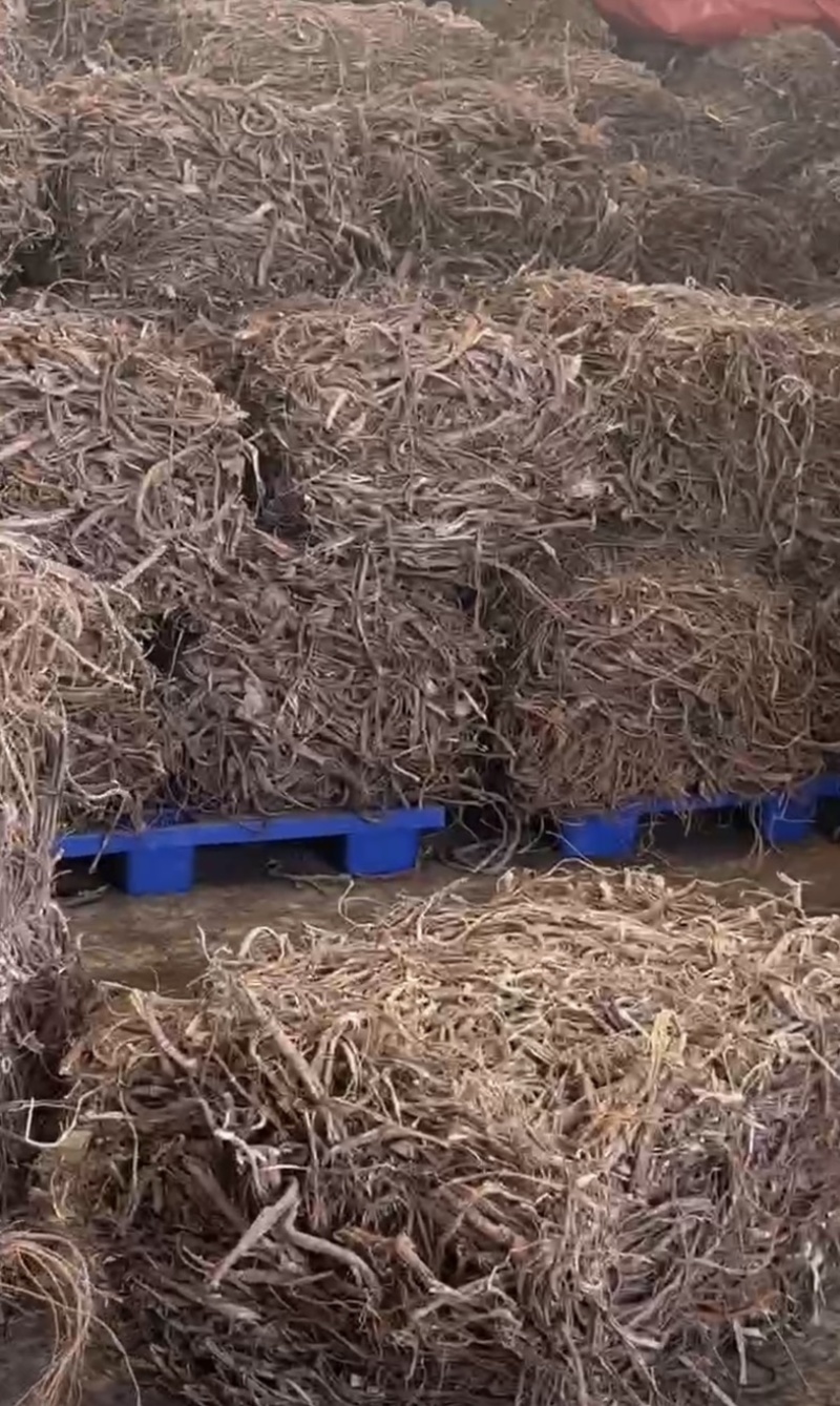 桑皮地道药效真量大从优诚相待！