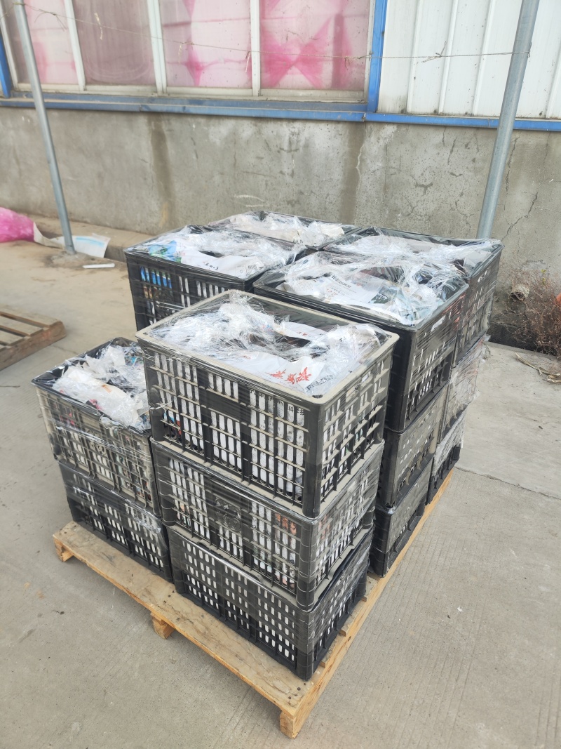 毛马蹄新鲜马蹄荸荠水果筐装精品安徽马蹄无为马蹄荸荠