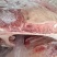 牛力骨牛扇子骨，带肉率55左右，牛肉汤烤肉店用