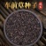车前草种子出售纯新车前草籽包发芽种植简单好管理