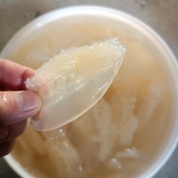 精品短花中的小花