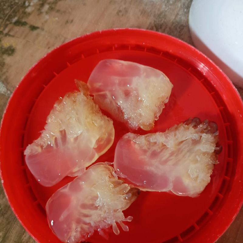 精品短花.质量超好