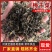 山东源头工厂直供，日晒梅干菜，咸香醇厚，量大稳定。