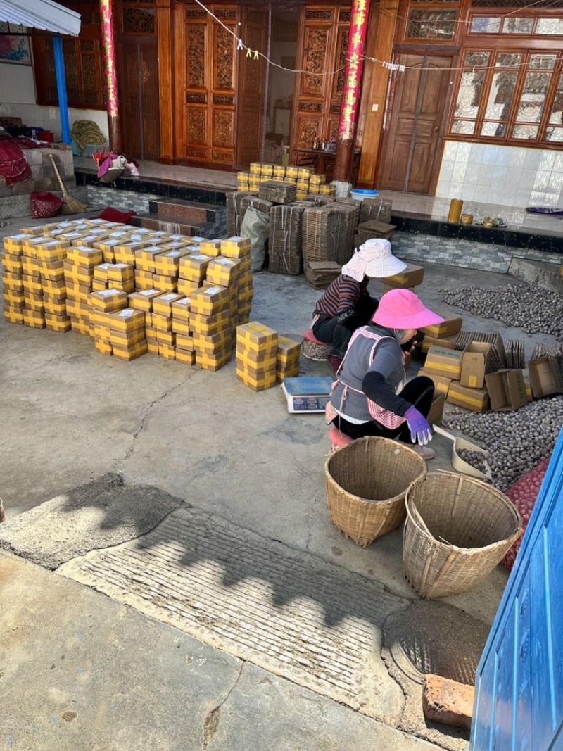 2026年新鲜独头蒜上市了，可批发可快递代发量大价优！