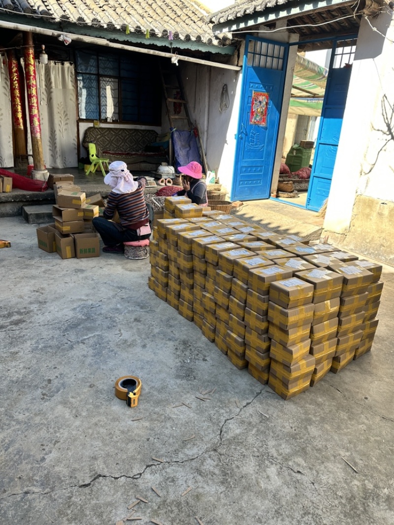 2026年新鲜独头蒜上市了，可批发可快递代发量大价优！