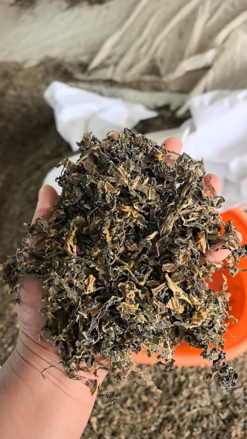 山东源头工厂直供，日晒梅干菜，咸香醇厚，量大稳定。