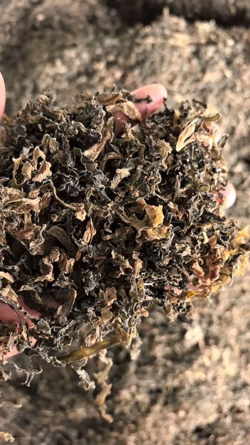 山东源头工厂直供，日晒梅干菜，咸香醇厚，量大稳定。