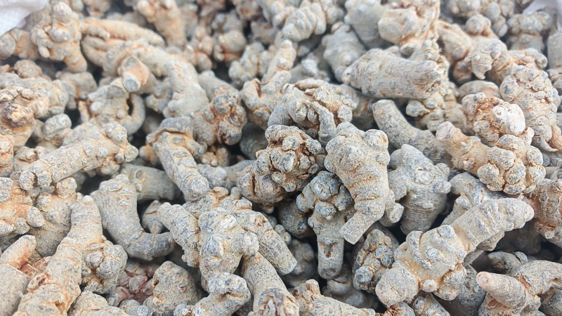 三七！三七40头，纯干货。产地直销、量大价优！可加工、