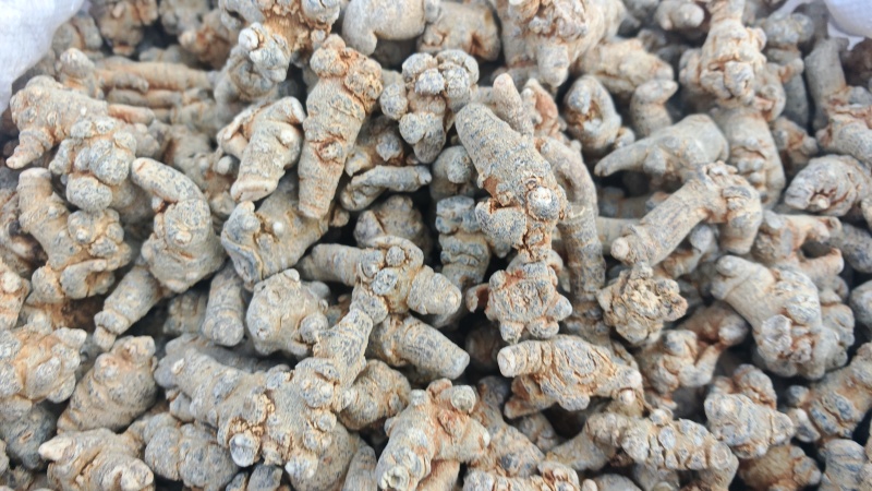 三七！三七40头，纯干货。产地直销、量大价优！可加工、