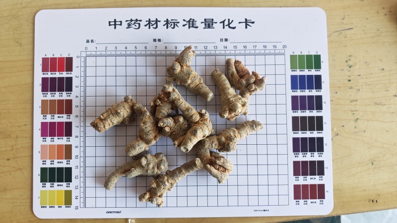 三七！三七40头，纯干货。产地直销、量大价优！可加工、