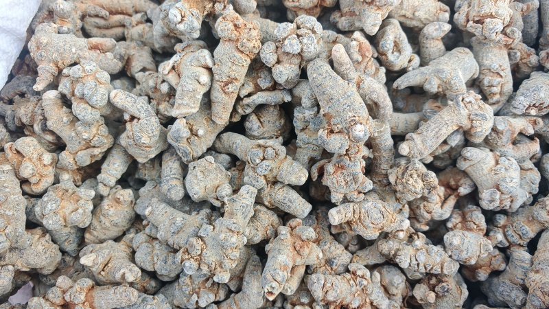 三七！三七40头，纯干货。产地直销、量大价优！可加工、