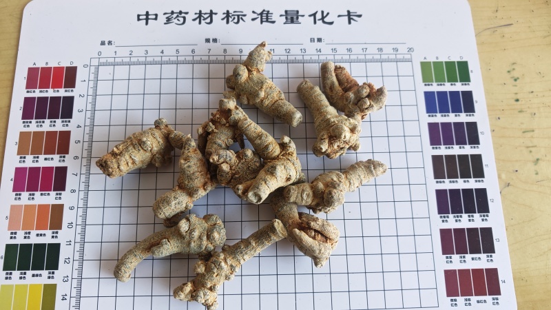 三七！三七40头，纯干货。产地直销、量大价优！可加工、