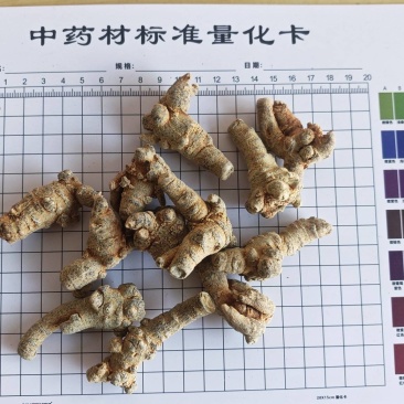 三七！三七40头，纯干货。产地直销、量大价优！可加工、