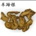 土大黄羊蹄根中药材野生羊蹄根土大黄野大黄正品