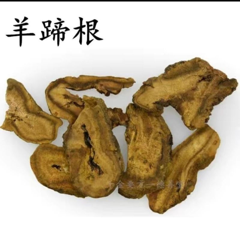 土大黄羊蹄根中药材野生羊蹄根土大黄野大黄正品
