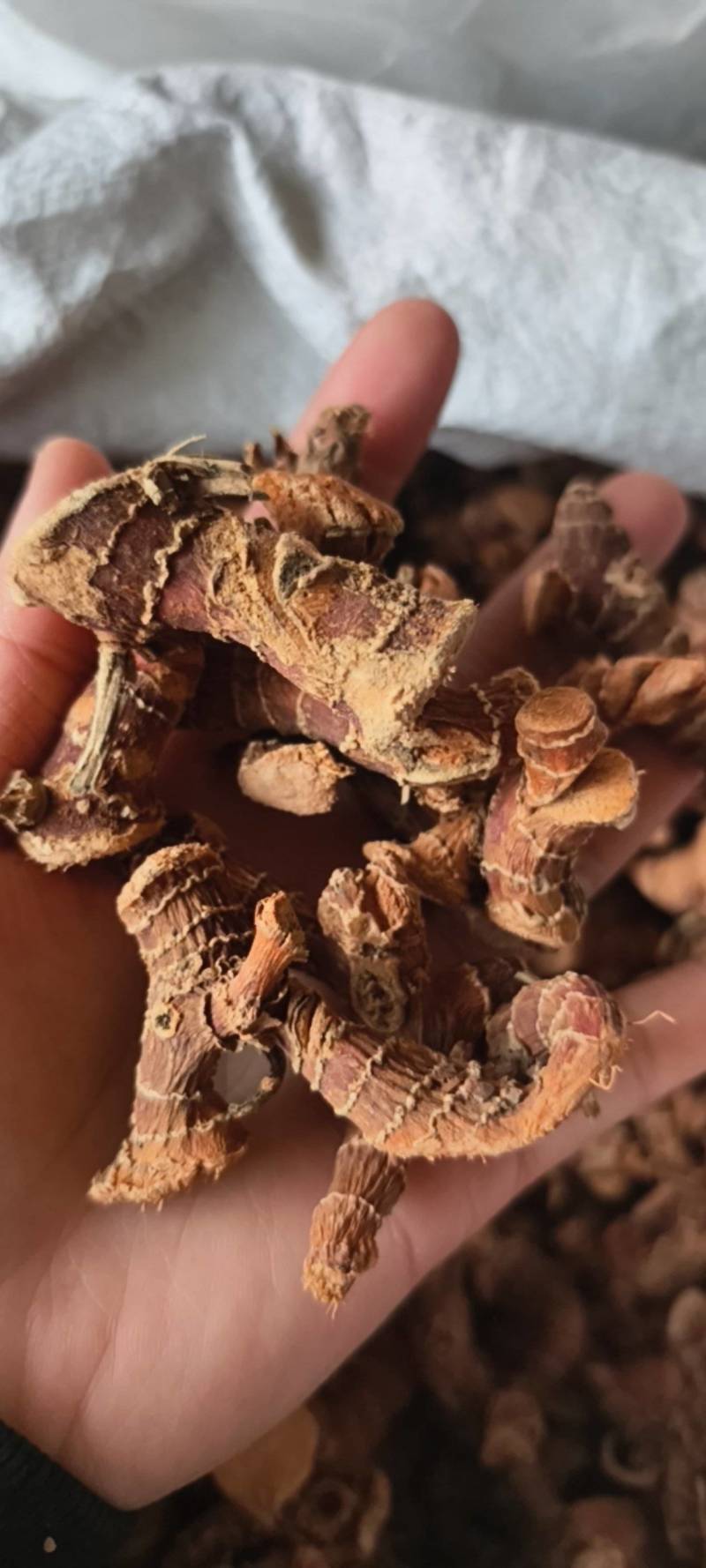 良姜高良姜统货产地广西地道药材紫轩堂药业