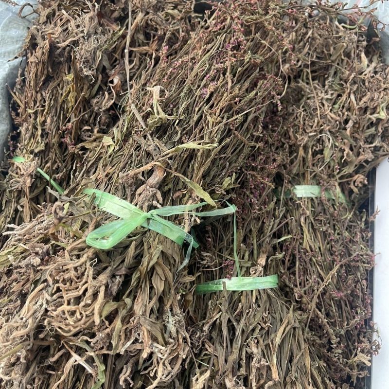 盘龙参，龙抱住，青龙天柱中药材一手货源货真价实冷背药材
