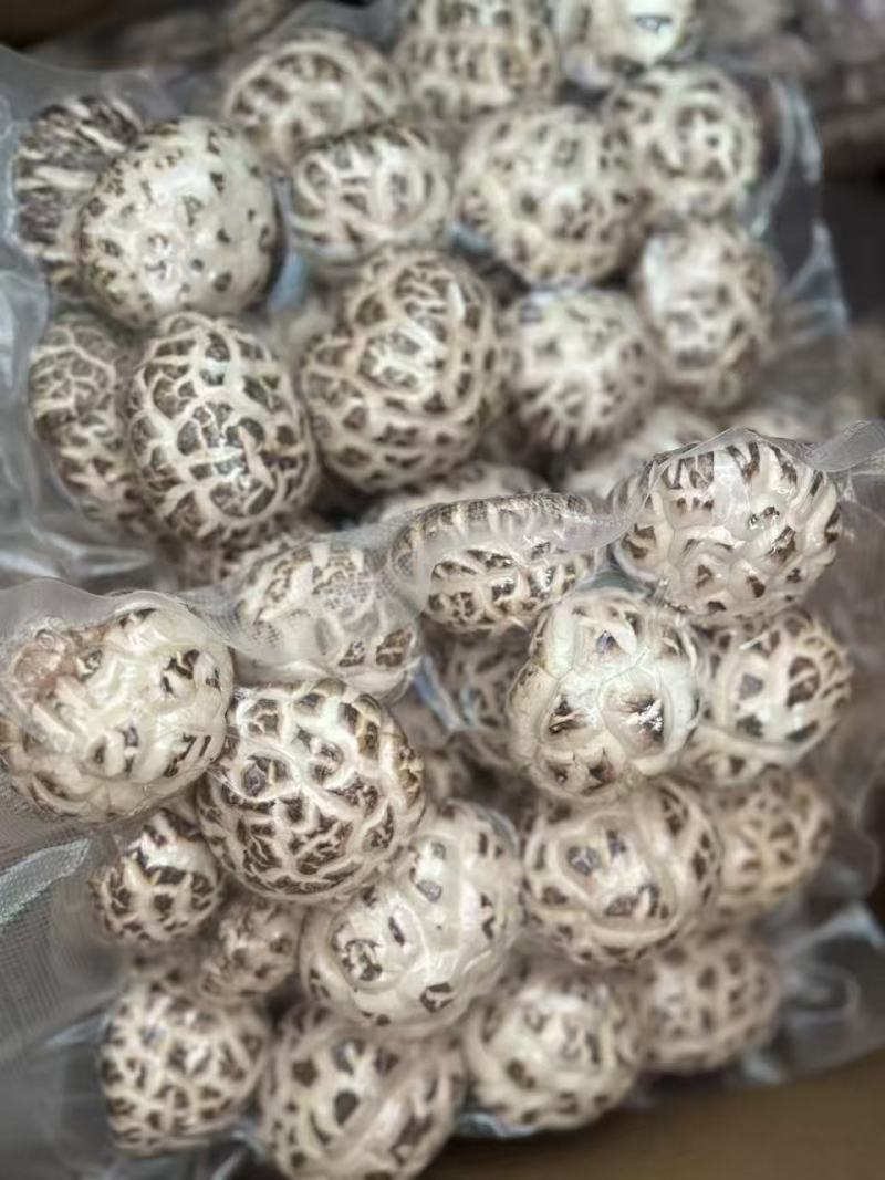 随州深山精品大花菇