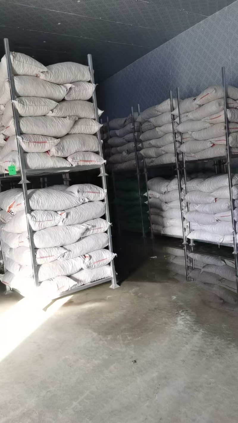 宽城板栗精品栗子产地直发保质保量对接全国量大优