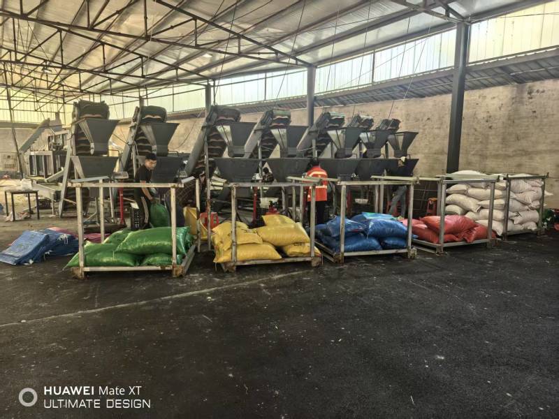 宽城板栗精品栗子产地直发保质保量对接全国量大优
