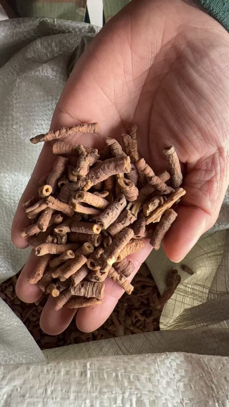 远志远志选货紫轩堂药业