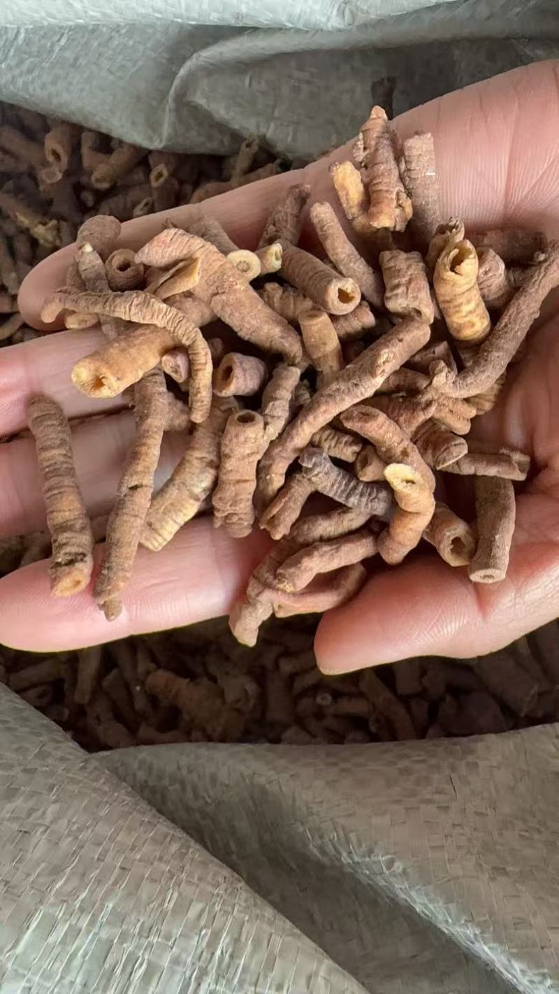 远志远志选货紫轩堂药业