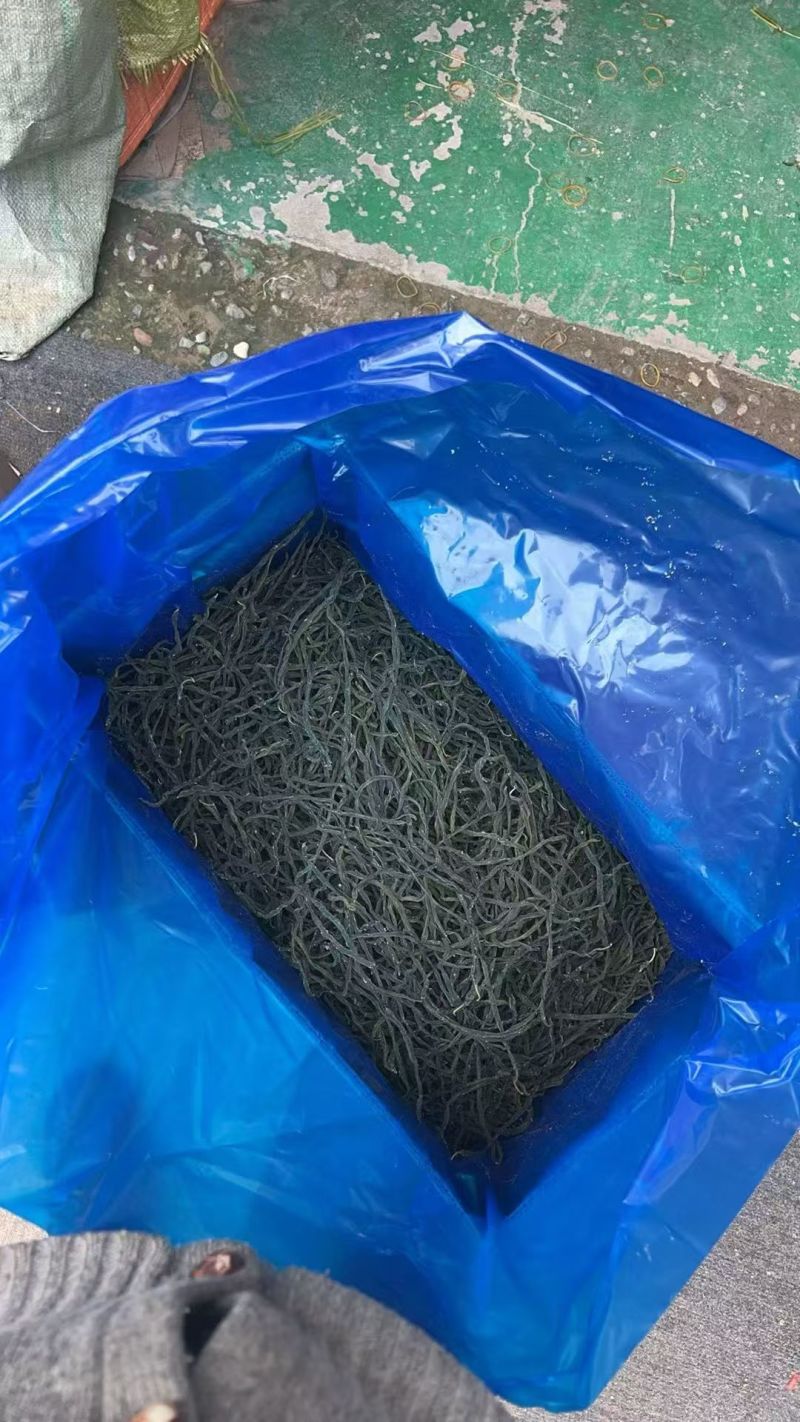 架豆王东北干豆角干货黑土地天然晾晒色泽纯正产地直供低价