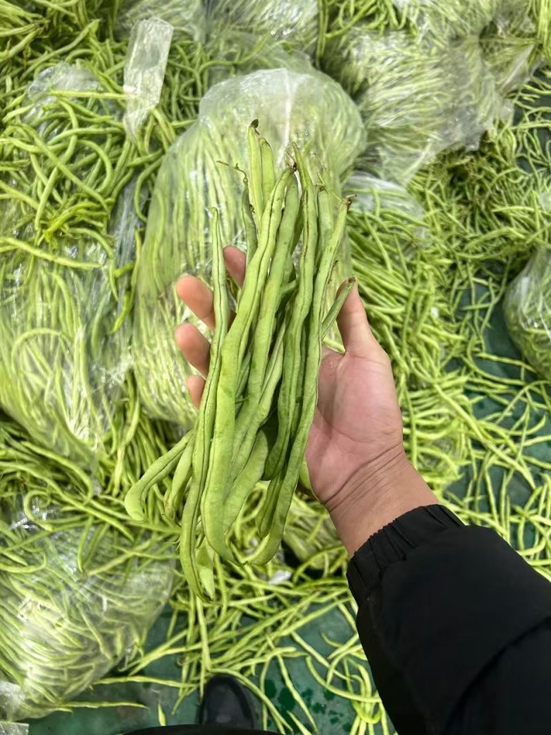 架豆王东北干豆角干货黑土地天然晾晒色泽纯正产地直供低价