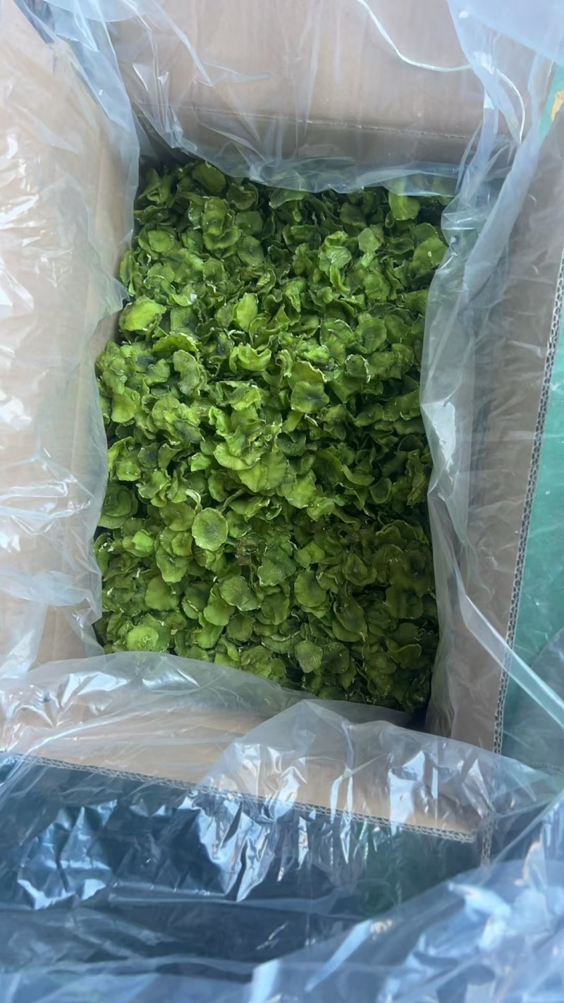 农家脱水莴笋干天然晾晒翠绿嫩脆产地直发起批现货速发
