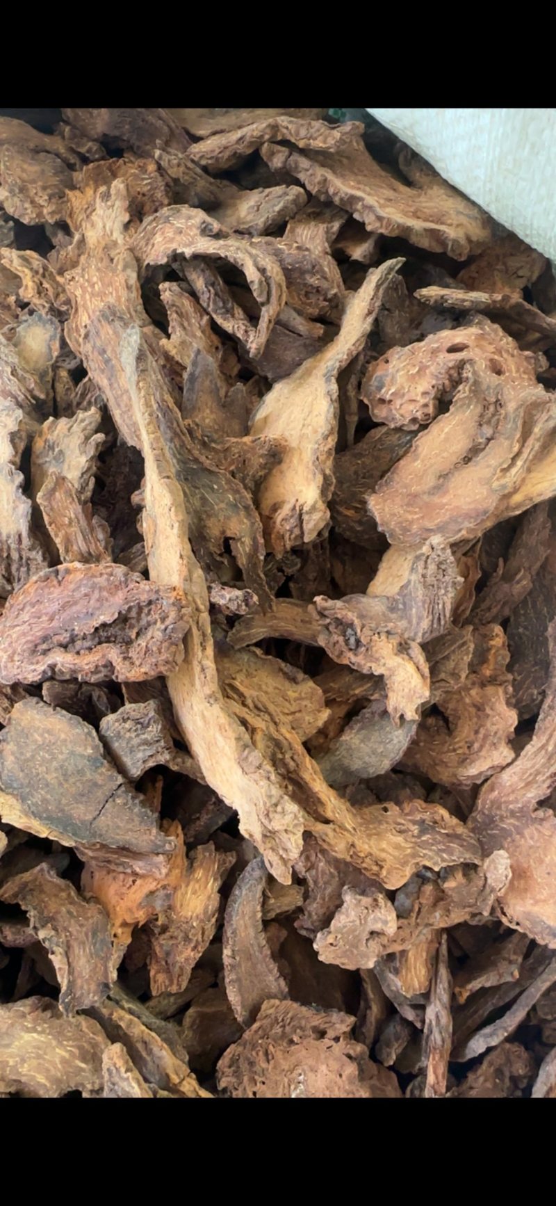 锁阳锁阳片，锁阳个各种规格锁阳新价格大货详谈