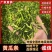 农家脱水黄瓜条天然晾晒翠绿脆嫩产地直供现货运发