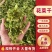 源头脱水干菜花色泽纯正口感佳现货运发稳定供应批发