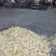 源头脱水干菜花色泽纯正口感佳现货运发稳定供应批发