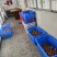 新鲜香菇