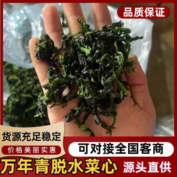 农家特制万年青脱水菜心色泽翠绿清香脆嫩汤馅皆宜