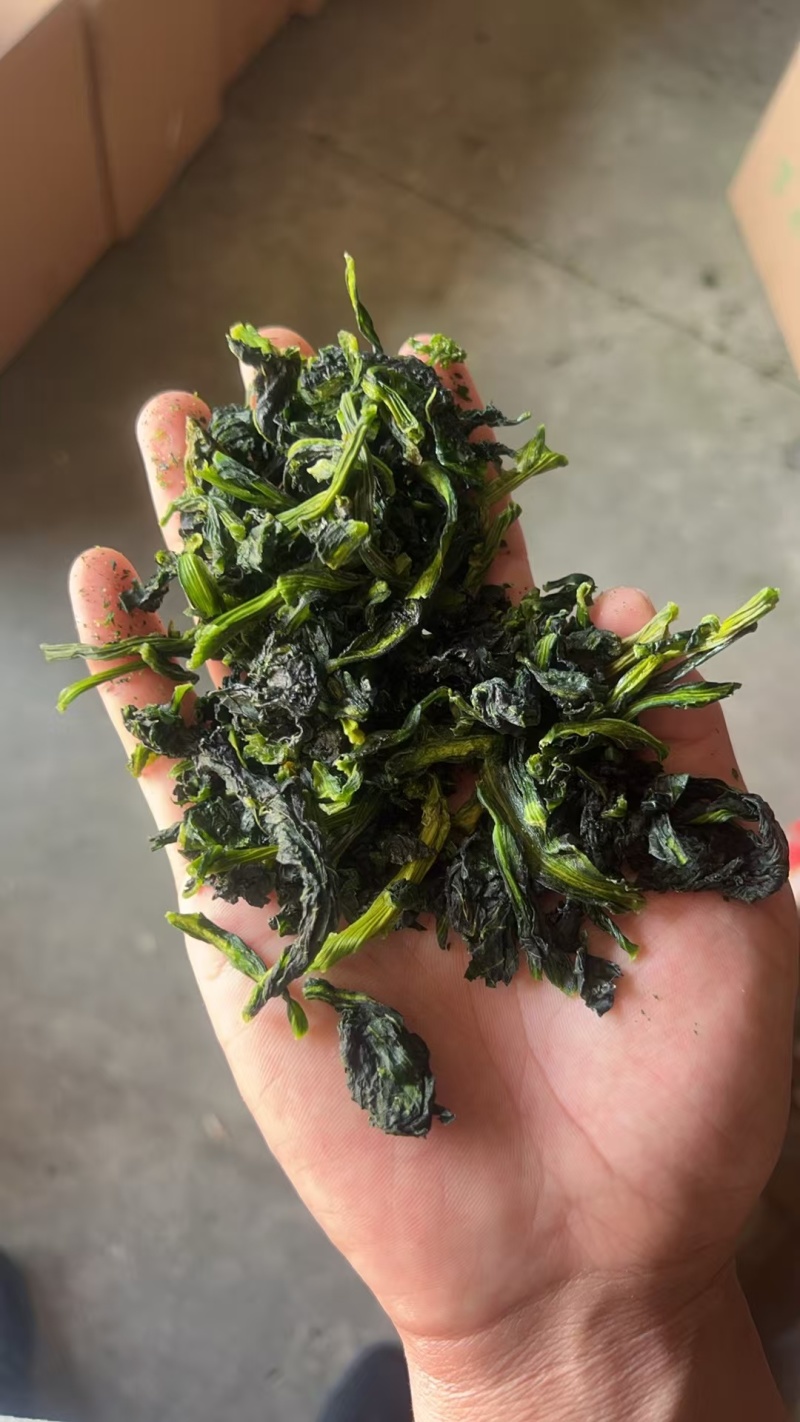 农家特制万年青脱水菜心色泽翠绿清香脆嫩汤馅皆宜