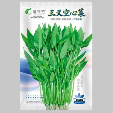 三叉空心菜种子多茬采收耐热耐寒四季种植南北方均可种植