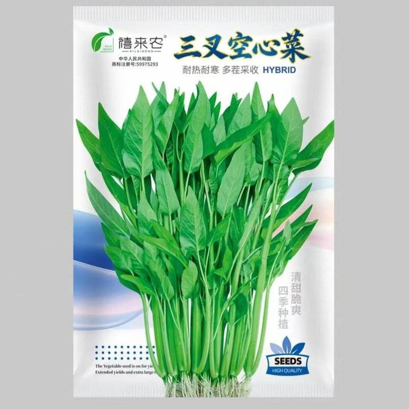 三叉空心菜种子多茬采收耐热耐寒四季种植南北方均可种植