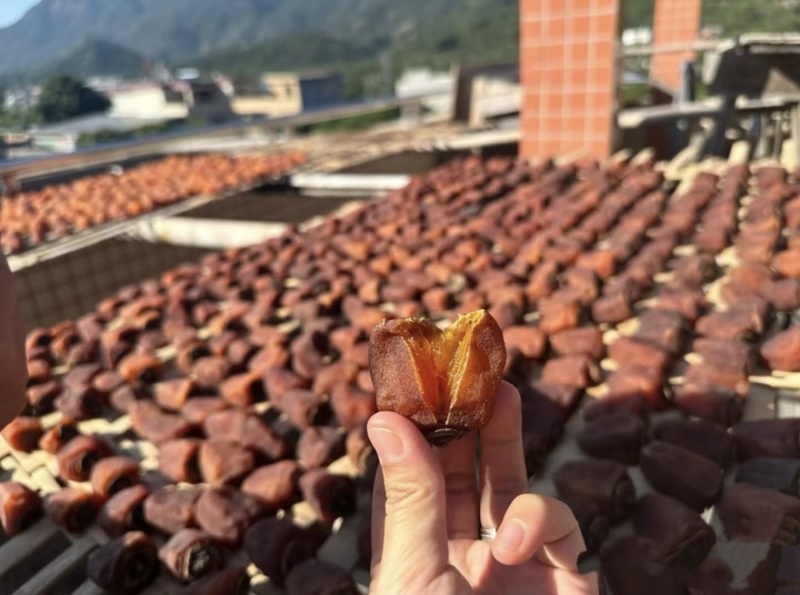 广东柿饼特产柿饼软糯香甜自己吃送礼都行可视频看货欢迎来电