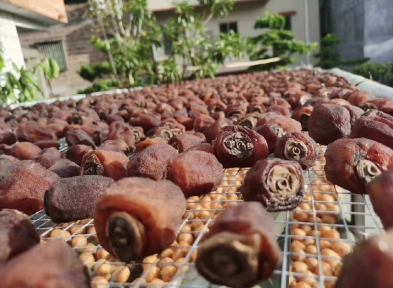 广东柿饼特产柿饼软糯香甜自己吃送礼都行可视频看货欢迎来电